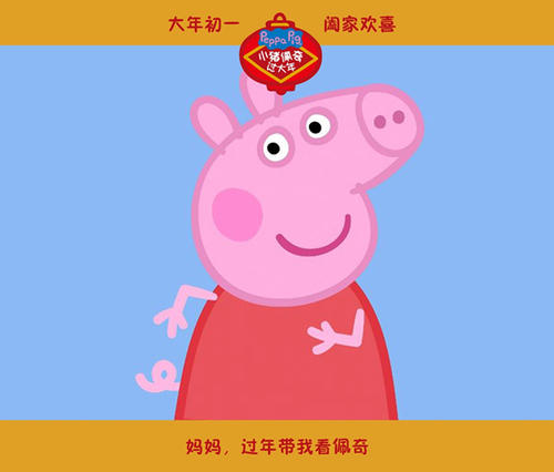 定制亚拉巴马州驾驶证